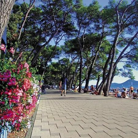 Apartment Clementine Biograd Na Moru